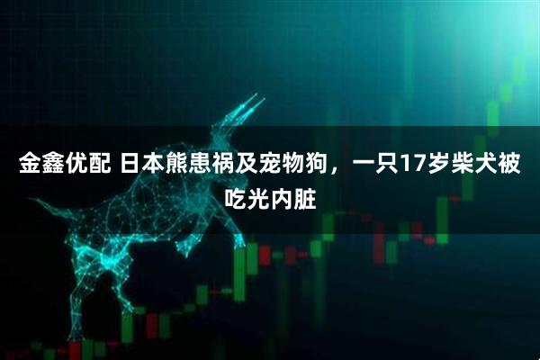 金鑫优配 日本熊患祸及宠物狗,一只17岁柴犬被吃光内脏