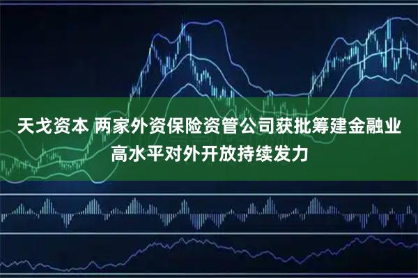 天戈资本 两家外资保险资管公司获批筹建金融业高水平对外开放持续发力