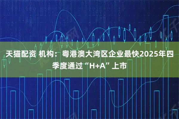 天猫配资 机构：粤港澳大湾区企业最快2025年四季度通过“H+A”上市