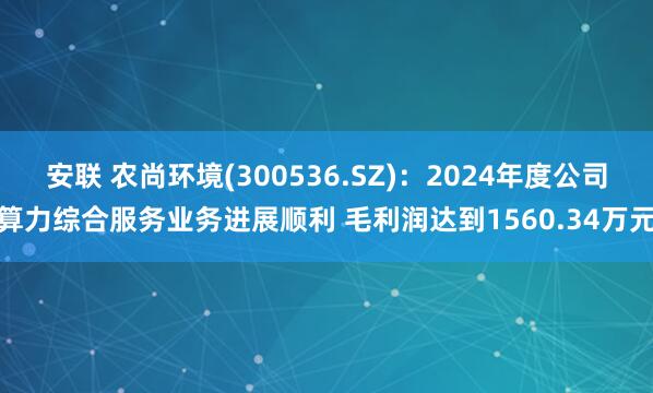 安联 农尚环境(300536.SZ)：2024年度公司算力综合服务业务进展顺利 毛利润达到1560.34万元