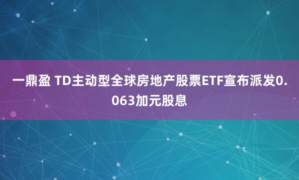 一鼎盈 TD主动型全球房地产股票ETF宣布派发0.063加元股息